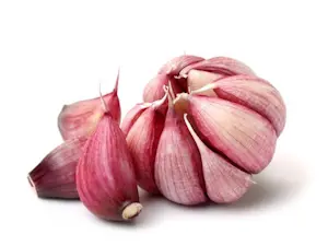 Aglio Rosa (Cat 1)