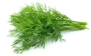 Aneto (Cat 1) Circa 100 Gr