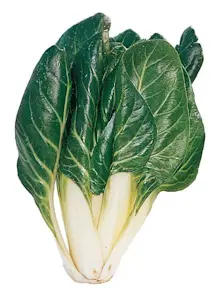 Bietole Costa (Cat 1)