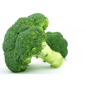 Broccolata tonda (Cat 1)