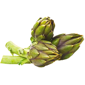 Carciofi (Cat 2) N. 30