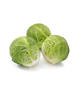 Cavolini di Bruxelles (Cat 1) circa 130 Gr