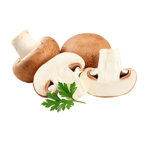 Champignons Freschi (Cat 1)