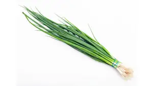 Erba Cipollina (Cat 1) Mazzo da circa 100 Gr