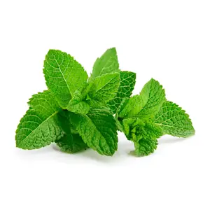 Menta (Cat 1) Circa 30 Gr