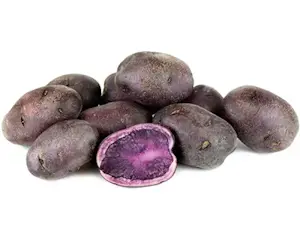 Patate Viola (Cat 1)