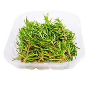 Rosmarino vaschetta 30 Gr Neg