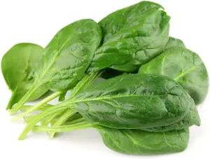 Spinaci (Cat 1)