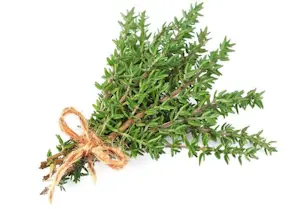 Timo (Cal 1) 30 Gr (1 Confezione)