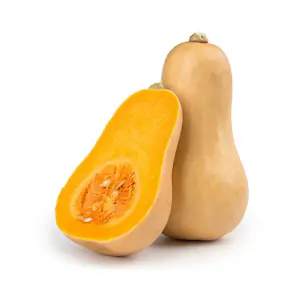 Zucca Francia (Cat 1)