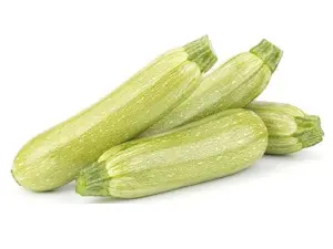 Zucchine Bianche senza fiore (Cat 1)