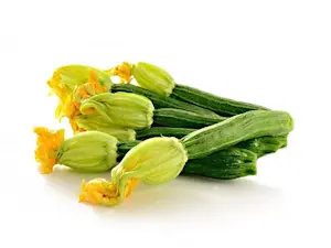 Zucchine Fiore (Cat 1)