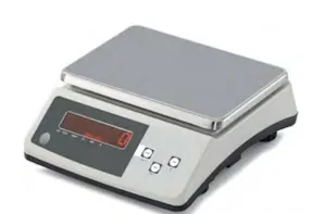 Bilancia elettronica