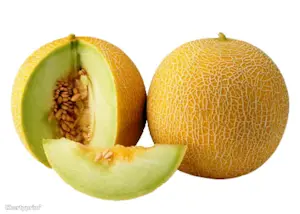 Melone Marocco (Cat 1)