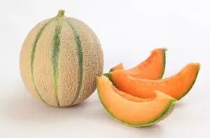 Melone