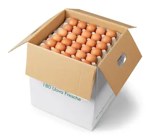 Uova sfuse M (1 Cassa da 180 Uova)