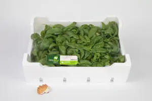Basilico Foglie 500 Gr (Polistirolo)