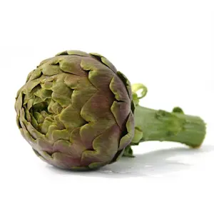 Carciofi senza spine