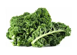 Cavolo Riccio (Kale)
