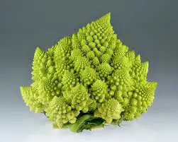 Cavolo Romanesco