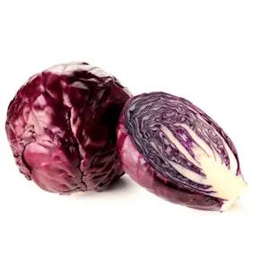 Cavolo Rosso