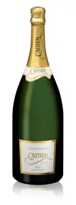 Champagne Premium Brut Magnum 1,5 Litri (1 Bottiglia)