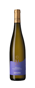 Vino Bianco Passerina Madame Marche IGT 75 Cl (6 Bottiglie)