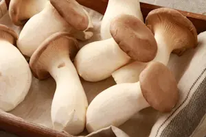 Funghi Cardoncelli Cat 1