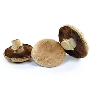 Funghi Portobelli