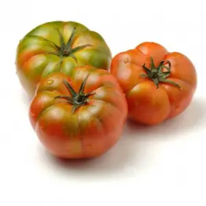 Pomodori insalatari