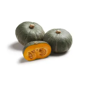 Zucca Mantovana