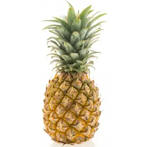 Ananas Via Nave