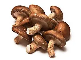 Funghi Shitake