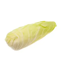 Insalata Cicoria Milano