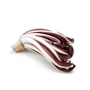 Radicchio Tardivo