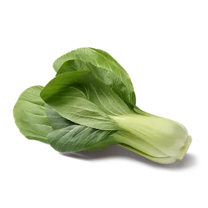 Pak Choi