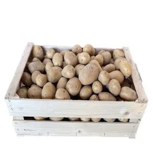 Patate 10 Kg