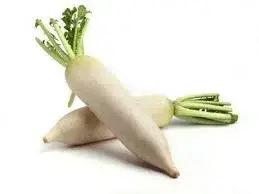 Rape Daikon