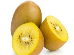 Kiwi Actinidia Ex nuova Zelanda