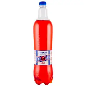 Ginger Spumador Pet 1,15 Litri (6 Bottiglie)