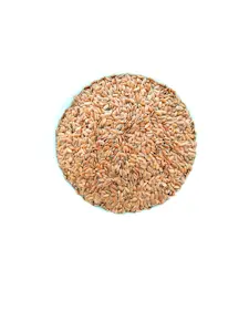 Semi di Lino 1 Kg