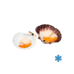 Capasanta 1/2 Guscio (2 Pz)