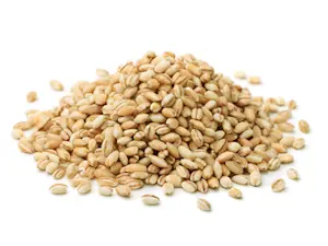 Orzo Perlato 5 Kg