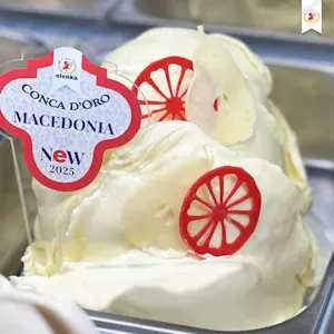 Base Gelato Macedonia Conca D'Oro 1,5 Kg