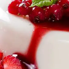 Base semifreddo alla PanCotta 1 Kg