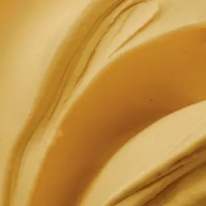 Pasta Caramello Salato 3 Kg