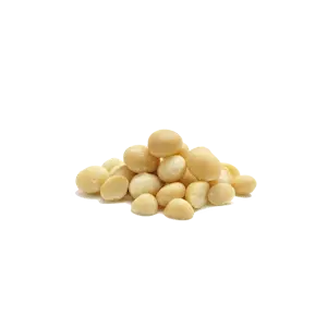 Macadamia Cruda 1 Kg