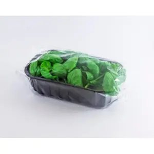 Basilico vaschetta 30 Gr (Orna)