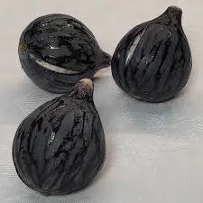 Fichi Neri