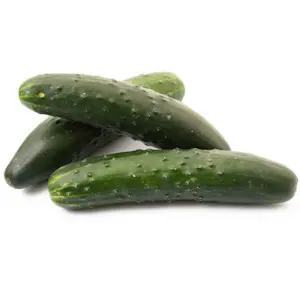 Cetrioli Extra